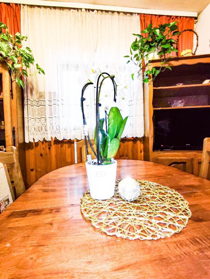 Apartmani Ankica ซริกเวนิซา ภายนอก รูปภาพ